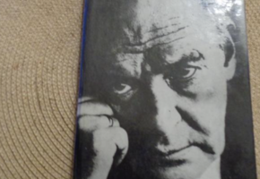 Владимир Набоков. Стихотворения и поэмы.1991