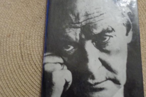 Владимир Набоков. Стихотворения и поэмы.1991