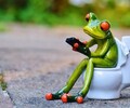 Мэрия Владивостока ищет арендаторов для нового общественного туалета