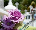 Жителям Владивостока временно запретят посещать кладбища и парки
